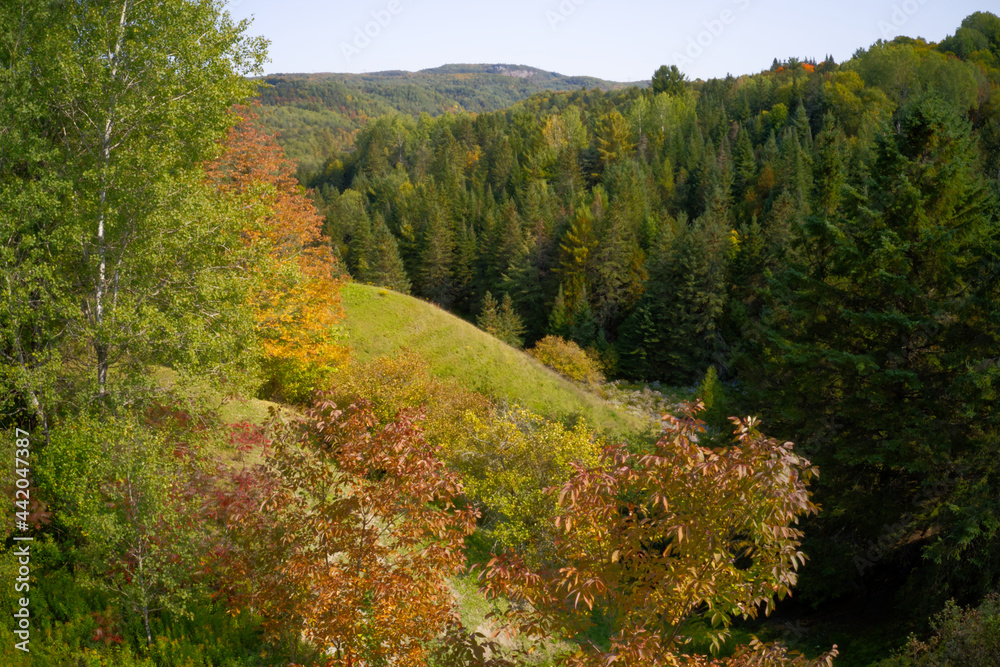 Aerial photos of the Colors of fall in the country side with mountains and forest. 