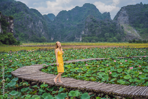 Young woman in a yellow dress on the path among the lotus lake. Mua Cave, Ninh Binh, Vietnam. Vietnam reopens after quarantine Coronovirus COVID 19 concept photo