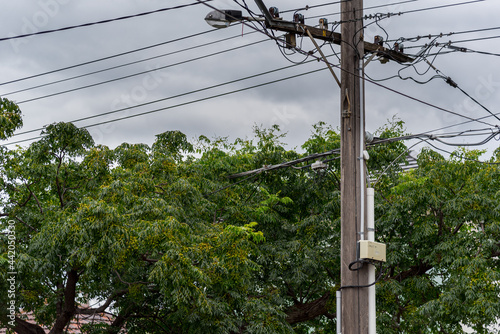 Trees growing around power lines is a hazard
