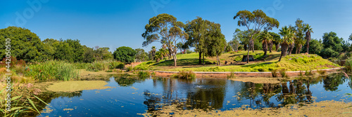 Western Lowland Gorilla enclosure at the Werribee Open Range Zoo Melbourne photo