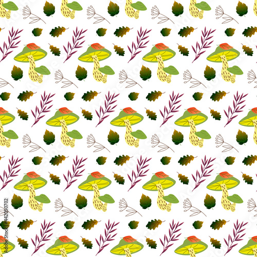 Pattern with mushrooms, leaves and meadow herbs. Vector illustration isolated on white background. For packaging, prints, fabrics, shops, tailor shops, covers, brochures and other decor.