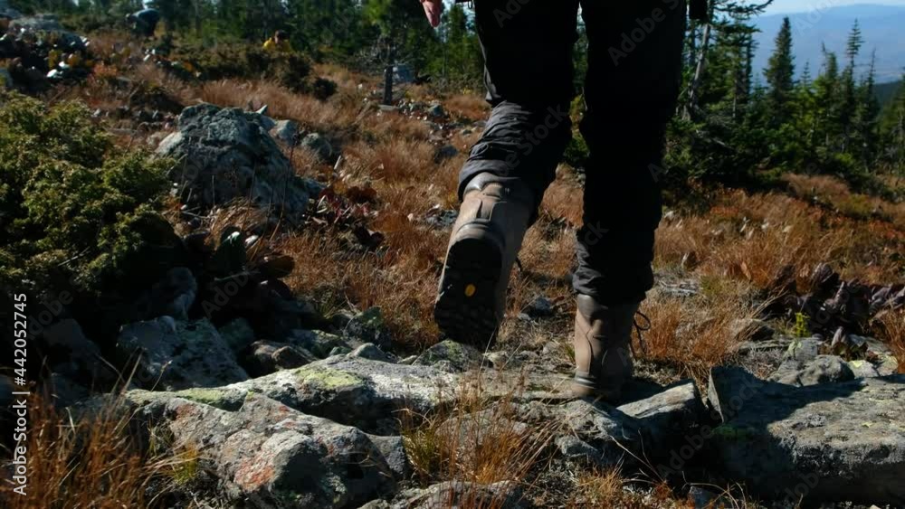 hiking shoes in action on mountain trail path. Close-up hikers shoes. hiking shoes in action on mountain trail path. Close-up hikers shoes.