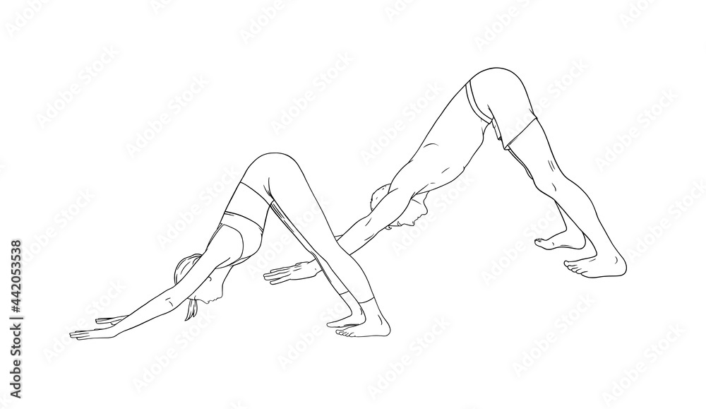 Yoga Downward Facing Dog Pose or Svanasana. Woman and man practicing yoga. Sketch vector illustration isolated on white background