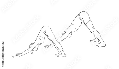 Yoga Downward Facing Dog Pose or Svanasana. Woman and man practicing yoga. Sketch vector illustration isolated on white background