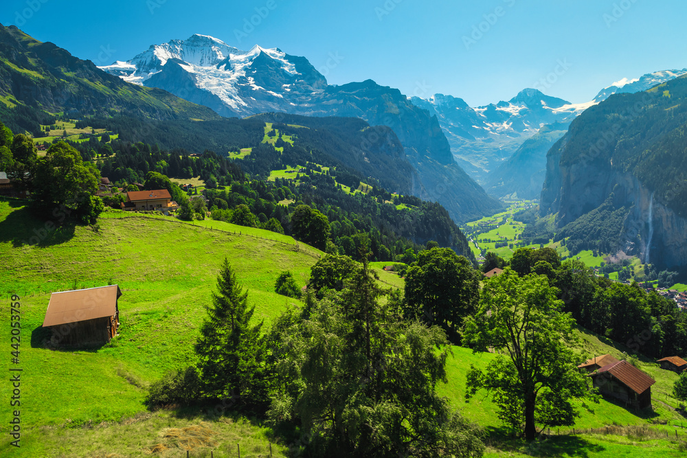 Wonderful alpine green fields and snowy mountains, Wengen, Lauterbrunnen, Switzerland