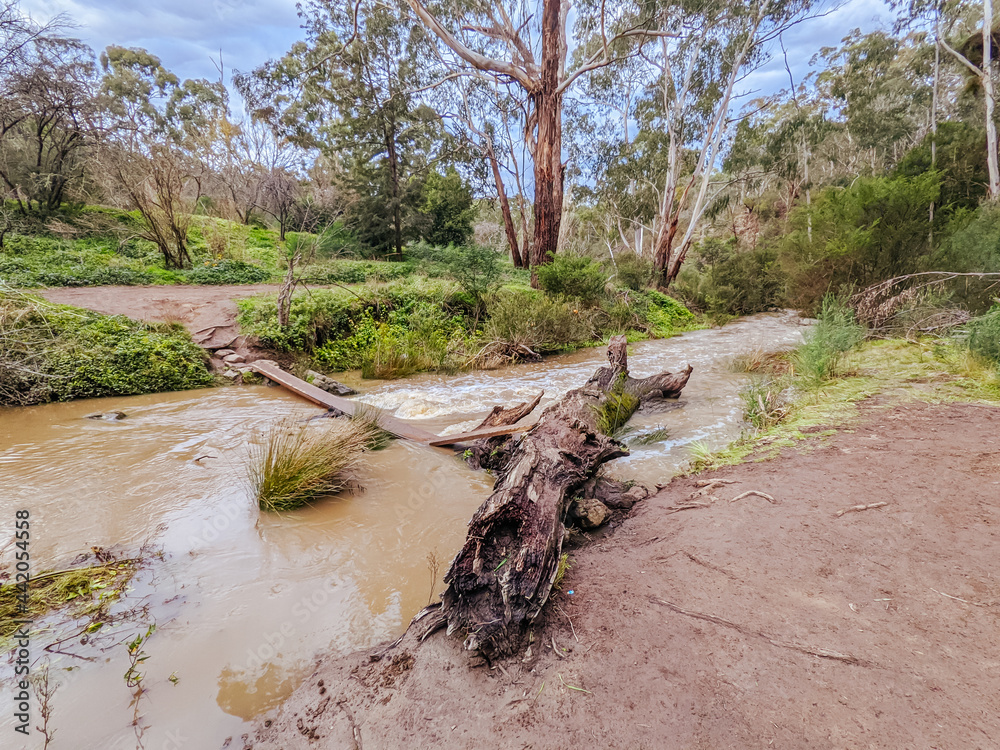 Fototapeta premium Plenty Gorge Parklands in Australia