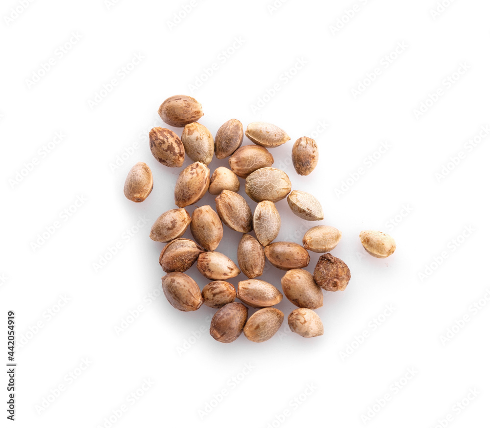 Hemp seeds isolated on white background Hemp seeds isolated on white background