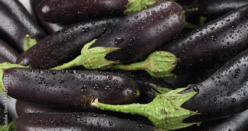 Vertical panorama of a heap of fresh, ripe aubergine in drops of water. Vegetable background