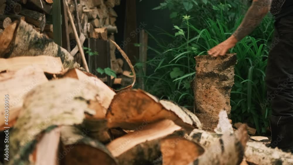 A man cannot split a log with a hammer and wedge in any way. A man in a summer garden next to a woodshed splits a log with a wood splitter and a sledgehammer. Close-up A man cannot split a log with a hammer and wedge in any way. A man in a summer garden next to a woodshed splits a log with a wood splitter and a sledgehammer. Close-up