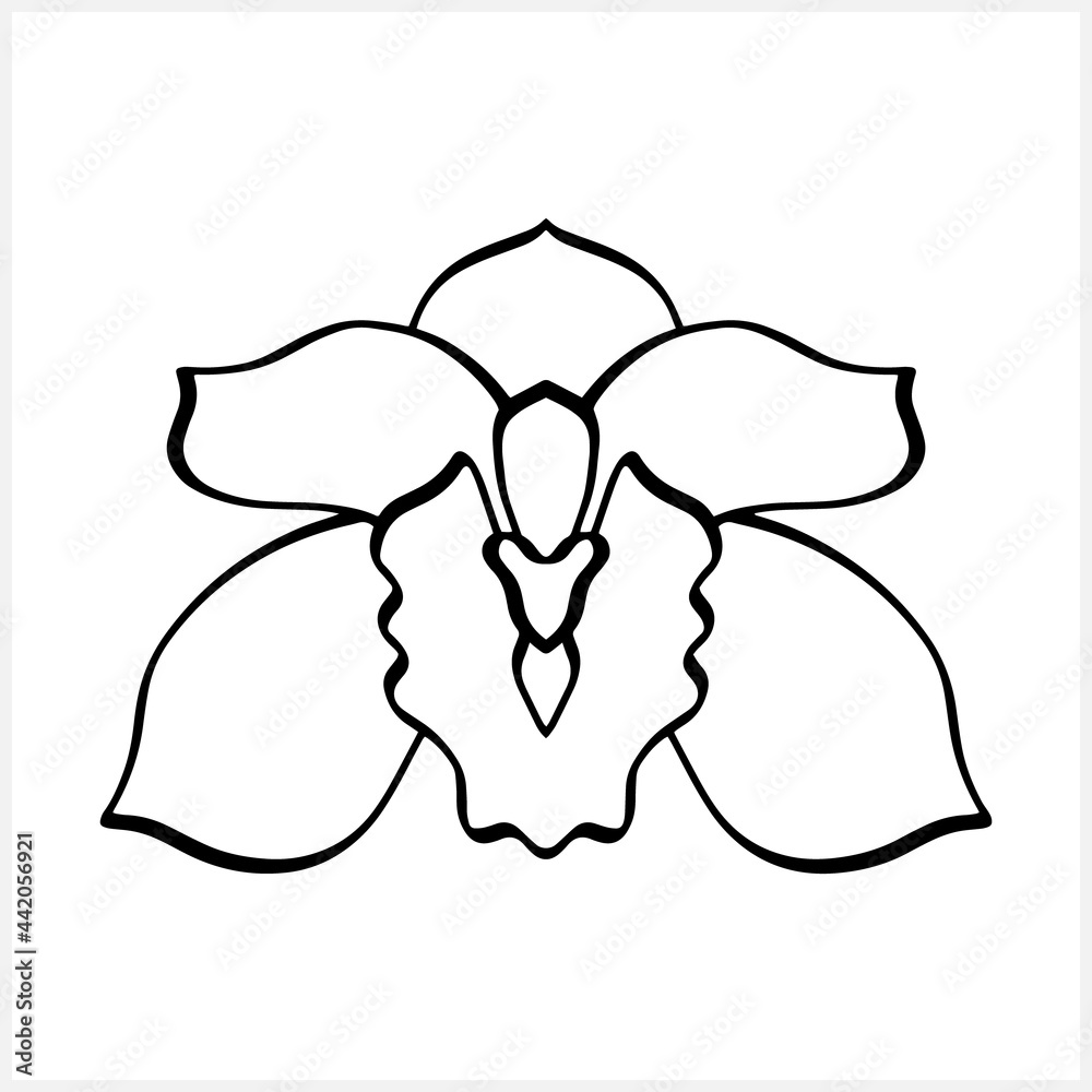 Doodle orchid icon isolated on white. Hand drawn sketch. Flower coloring page book. Vector stock illustration. EPS 10 Doodle orchid icon isolated on white. Hand drawn sketch. Flower coloring page book. Vector stock illustration. EPS 10