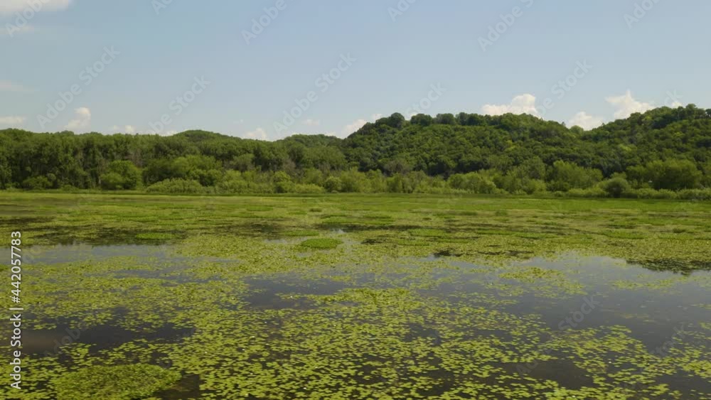 Low Aerial View Above Pond with Water Lilies, also known as Nymphaeaceae. Truck Left Low Aerial View Above Pond with Water Lilies, also known as Nymphaeaceae. Truck Left
