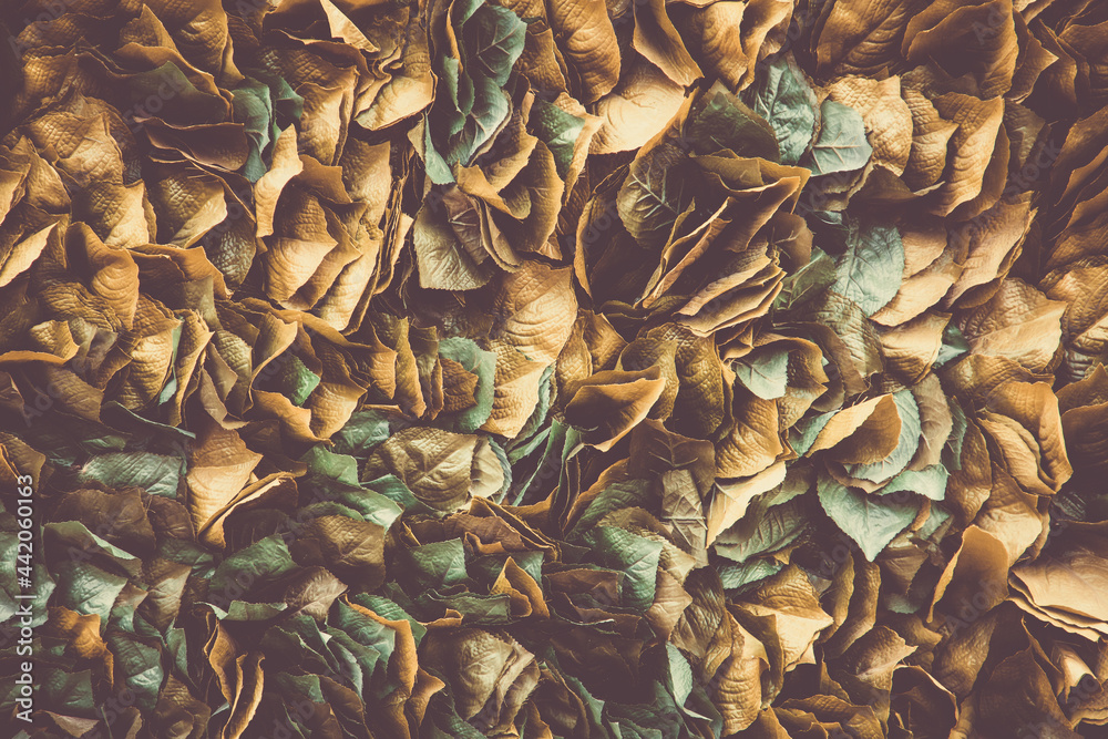 Background of stale leaf on the wall, fall nature background, artificial foliage texture Background of stale leaf on the wall, fall nature background, artificial foliage texture