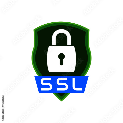Secure connection icon isolated on white background