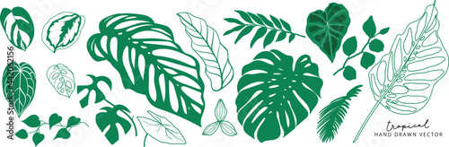 Tropical leaves collection. Vector isolated elements on the white background. summer clipart