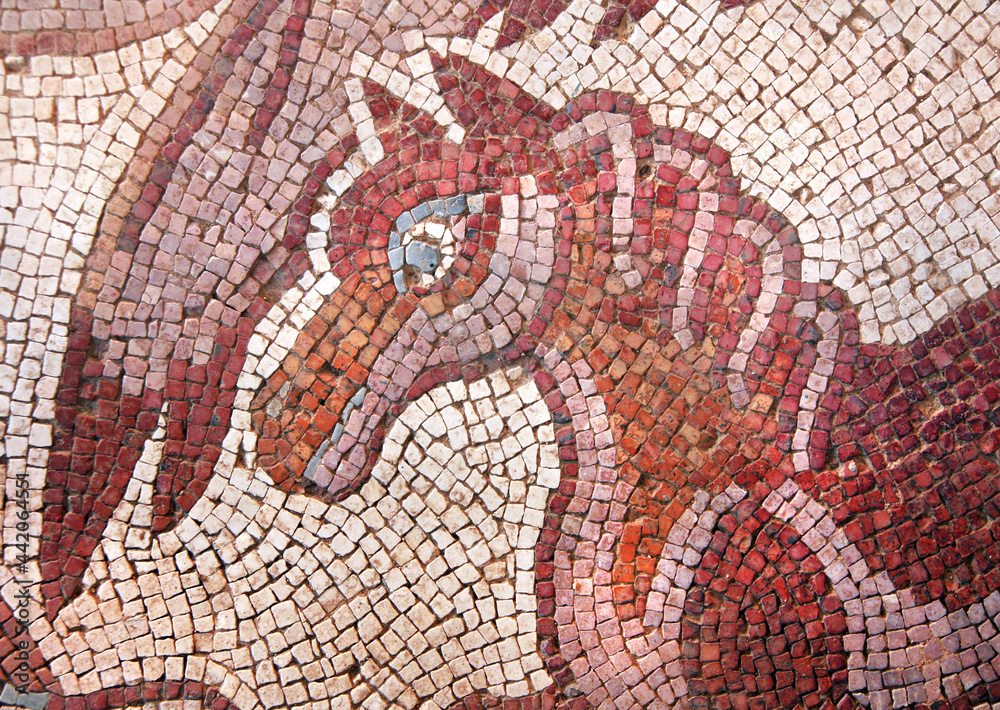 Fototapeta premium Ancient natural stone tile mosaics, Madaba, Jordan