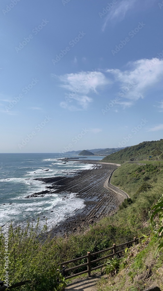 海 海