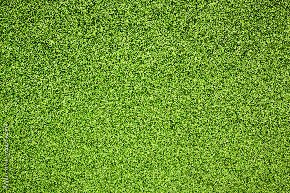 top view green grass texture for background Stock Photo | Adobe Stock