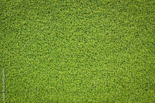 top view green grass texture for background