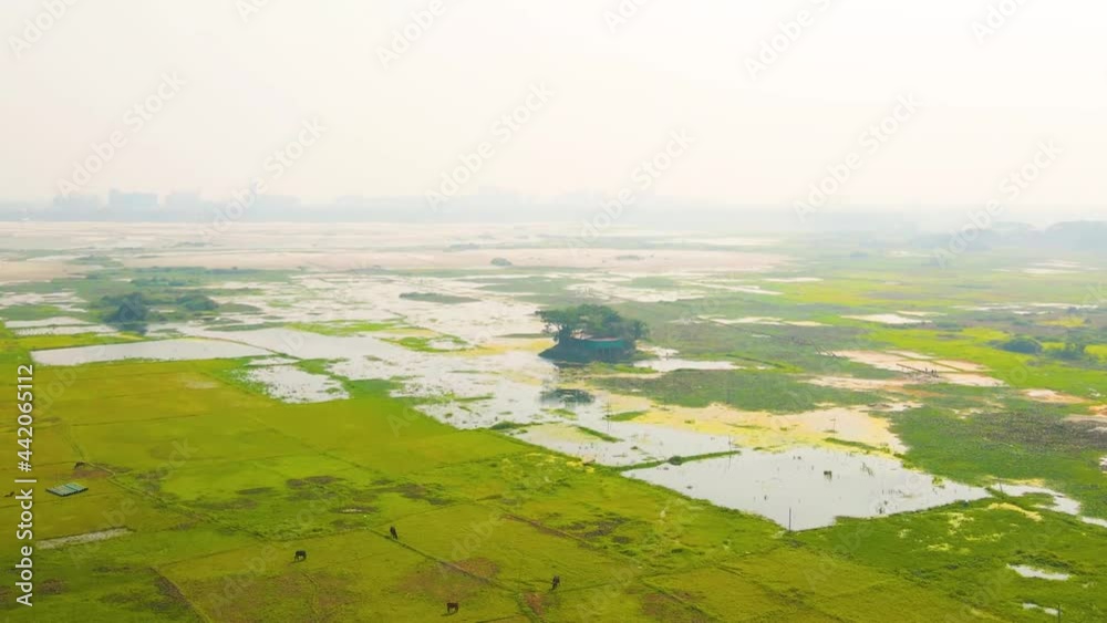Panorama Of A House Structure At Green Landscape In Bangladesh. aerial Panorama Of A House Structure At Green Landscape In Bangladesh. aerial