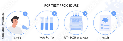 Covid-19 test procedure Infographic. A doctor in latex gloves takes nasal swab test. Male patient doing Coronavirus testing. Swap sample in lysis buffer, RT PCR machine and certificate. Vector.  photo