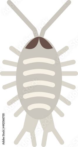 wharf roach flat icon