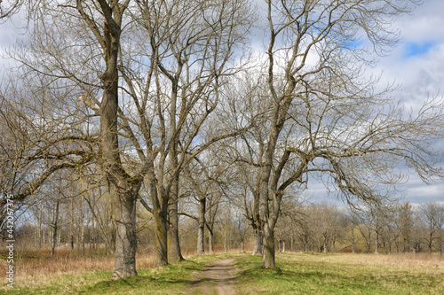 Obraz na płótnie The long-awaited spring has come. w salonie