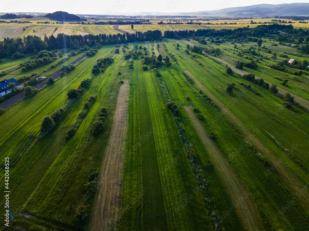 Agricuture Fields with Crop. Aerial Drone View