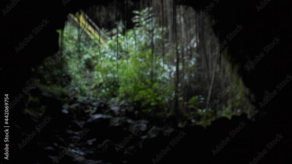 Vines hang from the roof of a dark cave. A Jungle lies in the background. Light fights its way into the cave.
Resolution: 4K
Location: Big Island, Hawaii Vines hang from the roof of a dark cave. A Jungle lies in the background. Light fights its way into the cave.
Resolution: 4K
Location: Big Island, Hawaii