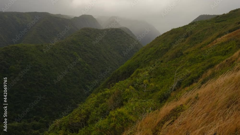 Lost in the Valleys. Great textures of jungle elevation are pictured in this misty horizon.
Resolution: 4K
Location: Big Island, Hawaii Lost in the Valleys. Great textures of jungle elevation are pictured in this misty horizon.
Resolution: 4K
Location: Big Island, Hawaii