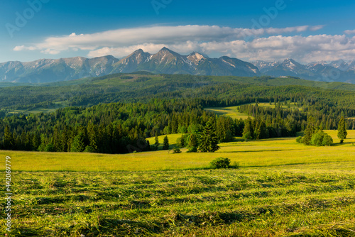 Panoramic View over Lapszanka Valley and High Tatras Mountains in Poland