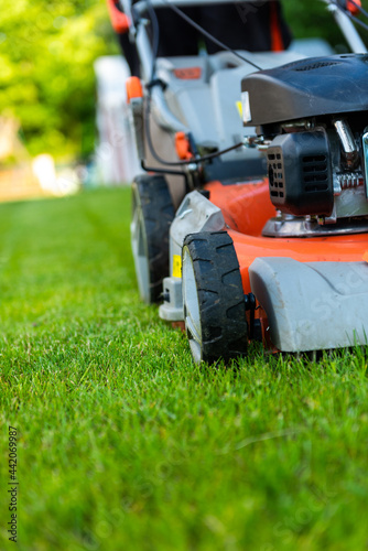 Gardener Cutting Grass with Petrol Lawnmover in Backyard Garden at Summer