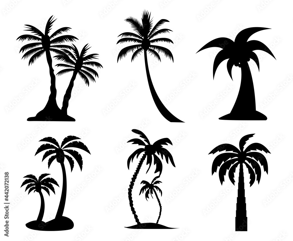 palm tree image vector