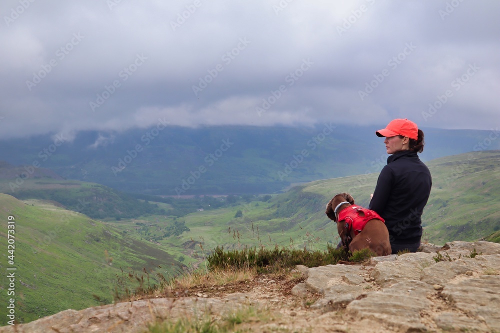 Adult girl woman person and dog hiking sat on ledge with view of countryside Adult girl woman person and dog hiking sat on ledge with view of countryside
