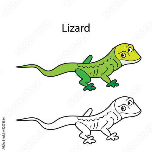 Funny cute animal lizard isolated on white background. Linear  contour  black and white and colored version. Illustration can be used for coloring book and pictures for children