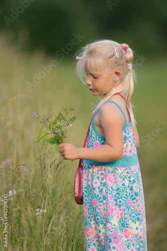 Summer portrait of a little girl on a meadow in nature.