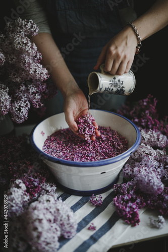 Tableau sur toile girl washes lilac flowers in a white basin