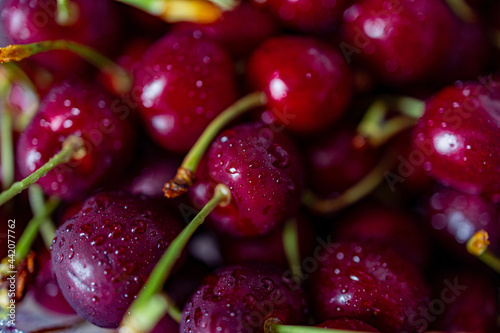 dark red cherries with water droplets forming a summer background