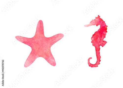 Set of two aquarelle red sea animals on white background hand-drawn digital illustration: starfish and seahorse