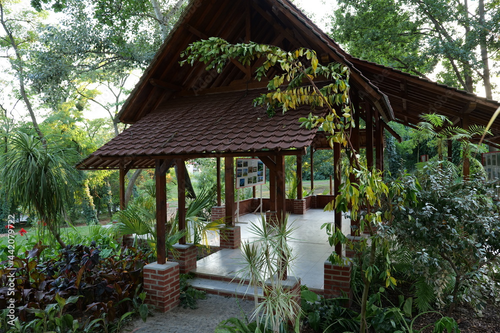 tropical hut in the jungle Botanical Garden