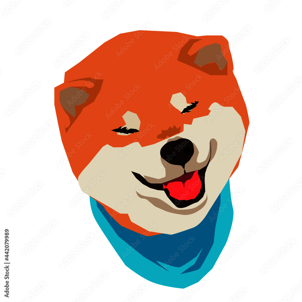 shiba inu dog shiba inu dog
