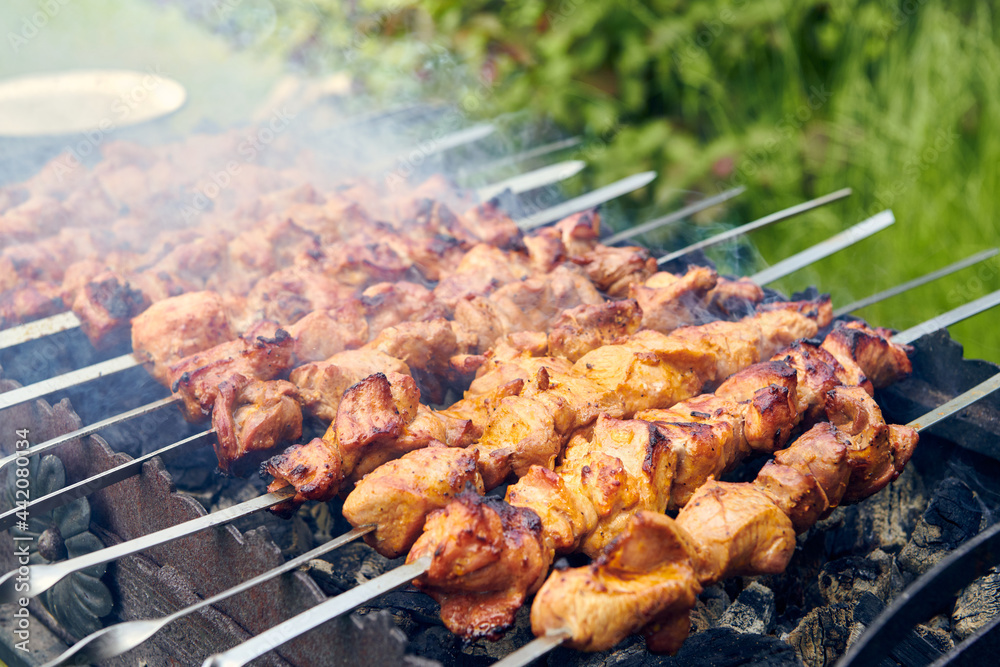 Pieces of delicious barbecued meat on skewer cooking on hot coals. Roast pork meat cooked on grill. Barbecue party on the nature. Close up top view.