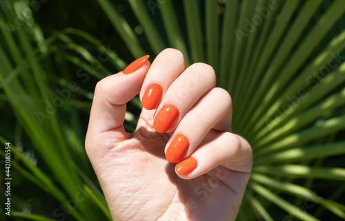 Female hand with orange nail design. Orange nail polish manicure. Female hand on a tropic plant leaf background. photo