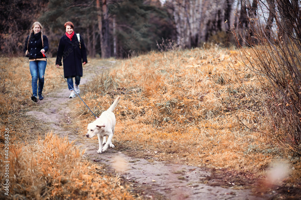 Young girl on a walk in the autumn Young girl on a walk in the autumn