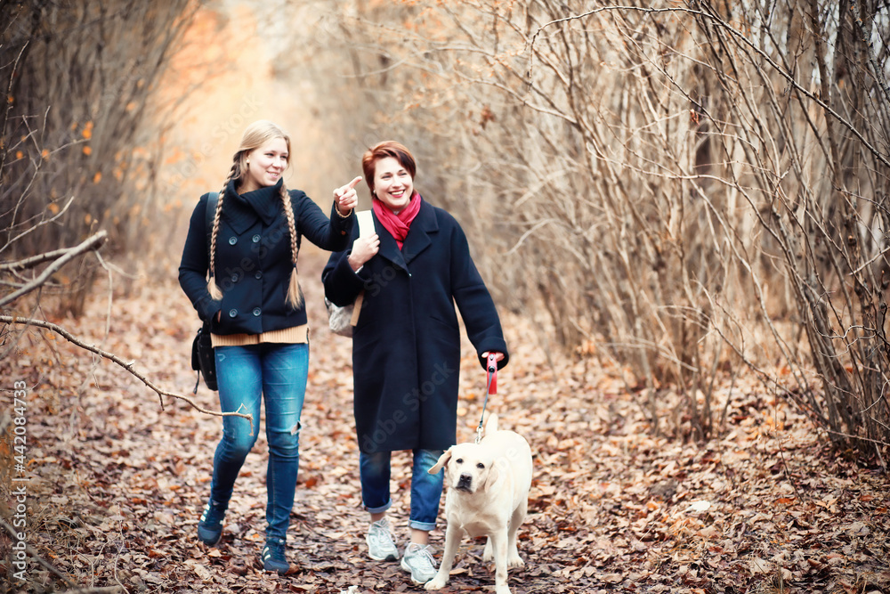 Young girl on a walk in the autumn