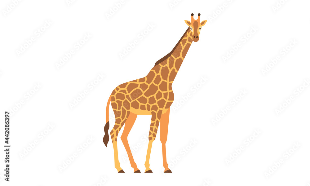 African native animal giraffe (Giraffa) side angle view, flat style vector illustration isolated on white background