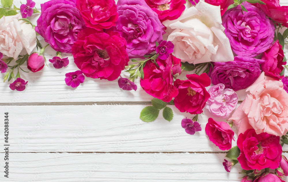 pink and red roses on white wooden background pink and red roses on white wooden background