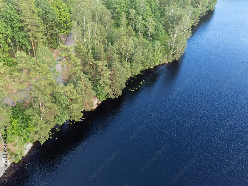 Bird's eye view of a pond, lake with green trees. Aerial, drone nature photography taken from above in Sweden in summer. Dark blue water surface background with copy space and place for text.