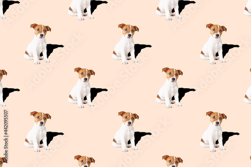 Fototapeta Naklejka Na Ścianę i Meble -  Little dog on pink background. Jack russell terrier puppy dog. Seamless pattern