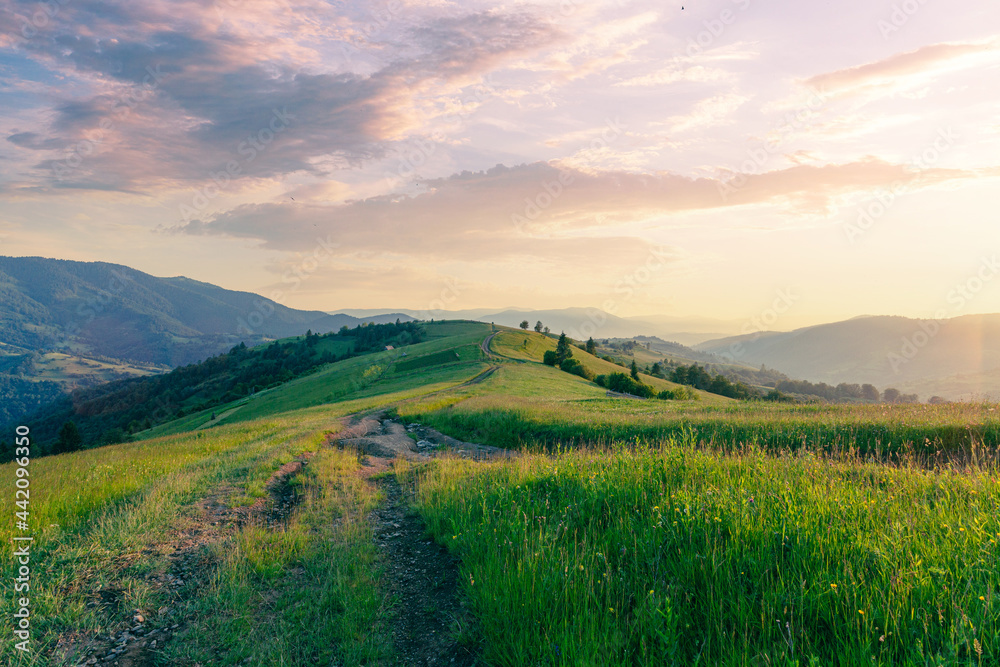 Beautiful sunset landscape with rural road on a grass hills at the Carpathian mountains in Ukraine.