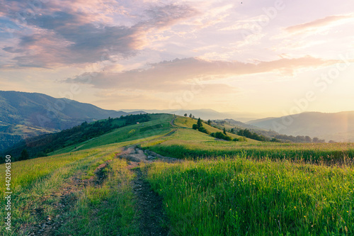 Beautiful sunset landscape with rural road on a grass hills at the Carpathian mountains in Ukraine.